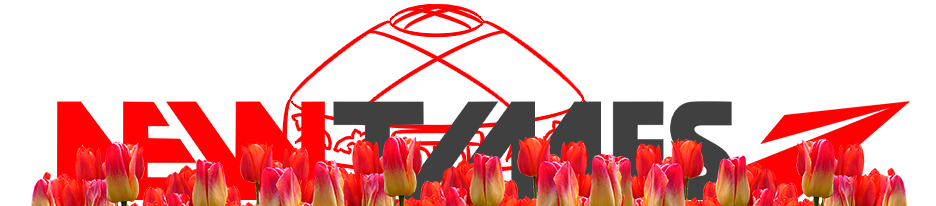 Newtimes.kz логотип