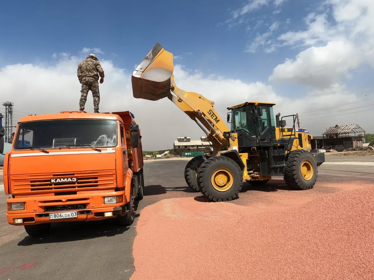 начале деятельности в некоторых