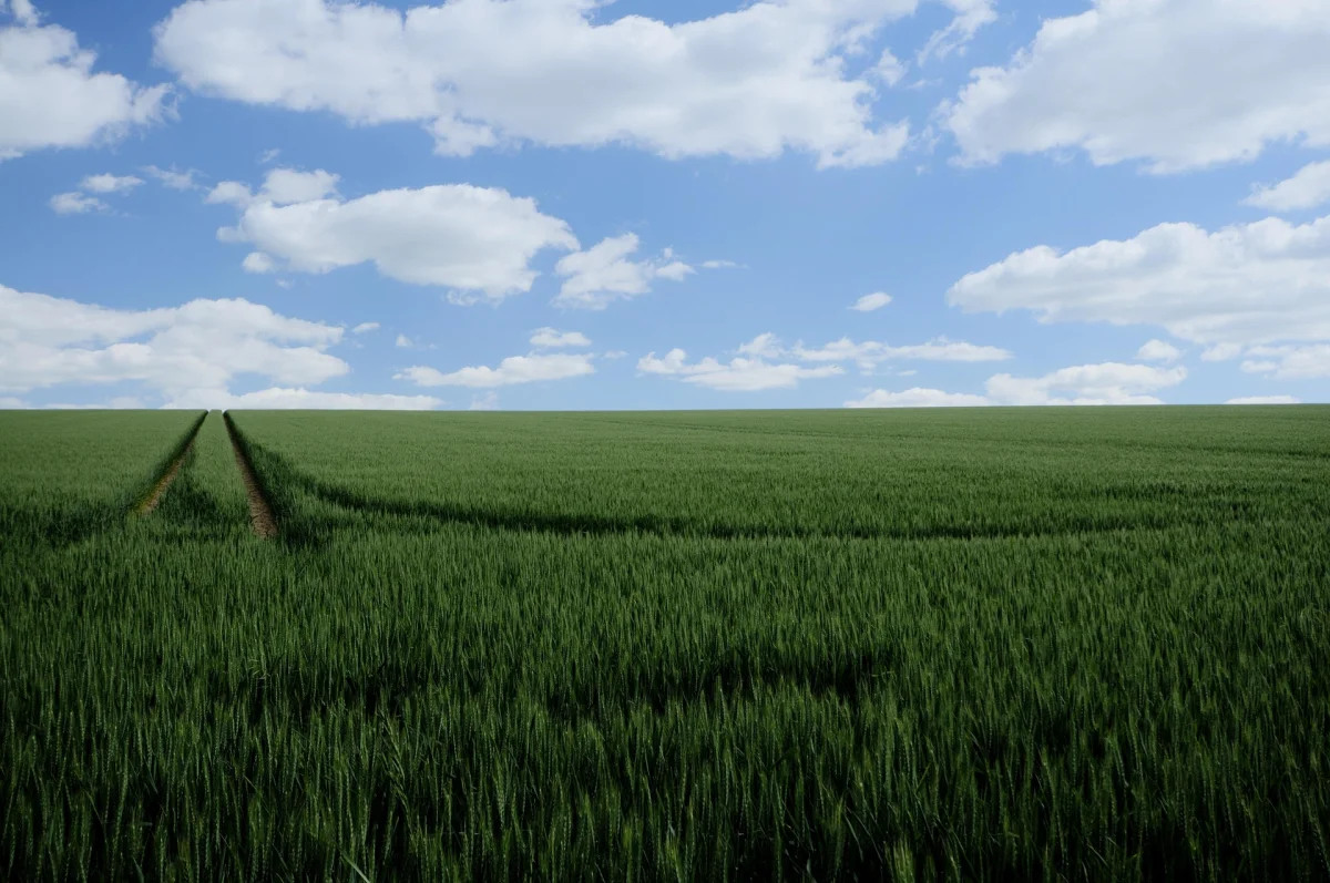 Возвращенные в госсобственность земли перераспределяют в Казахстане