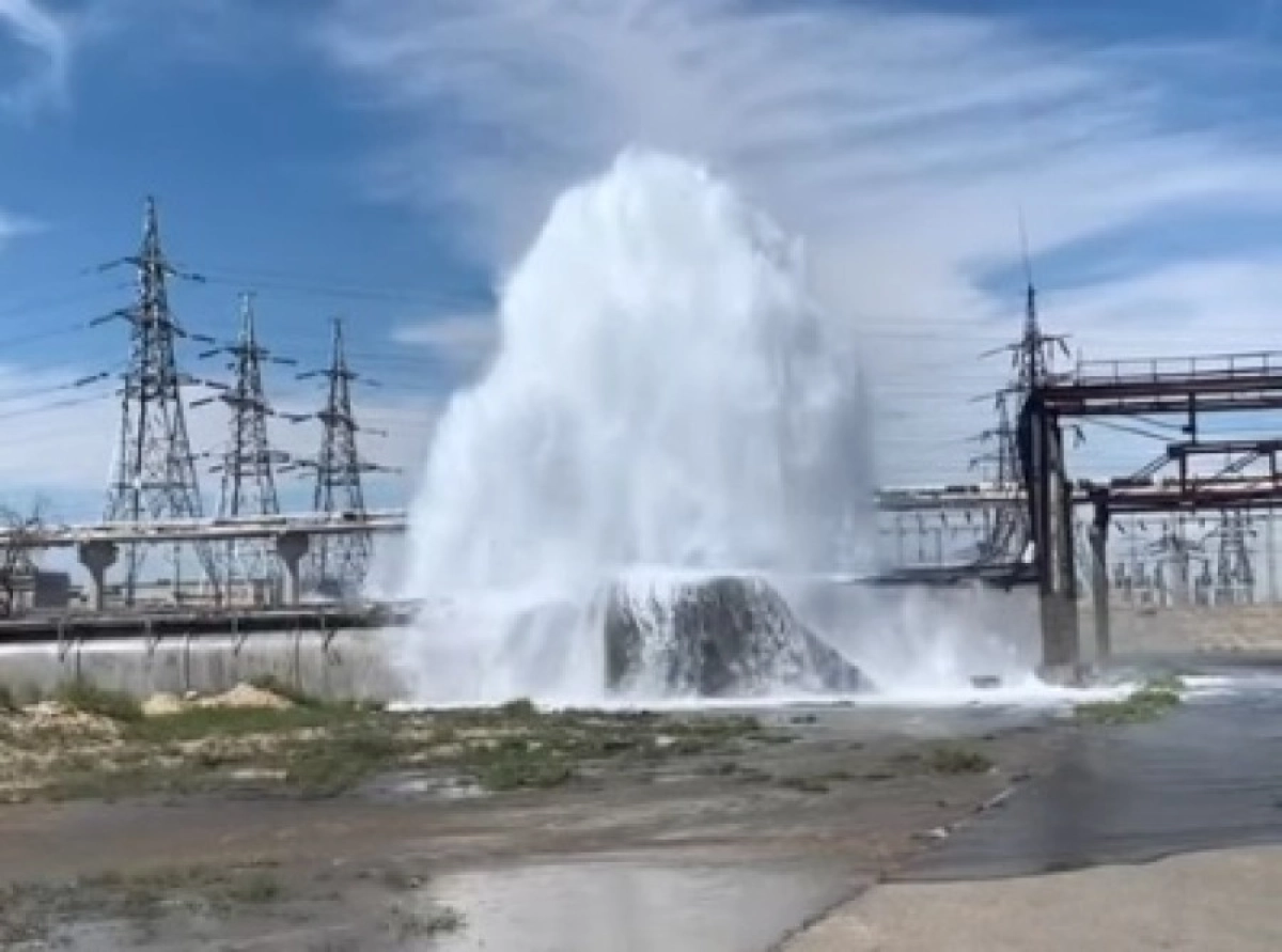 Оказываем первую помощь, если в фотоаппарат или в телефон вода попала | Сам_Самыч | Дзен