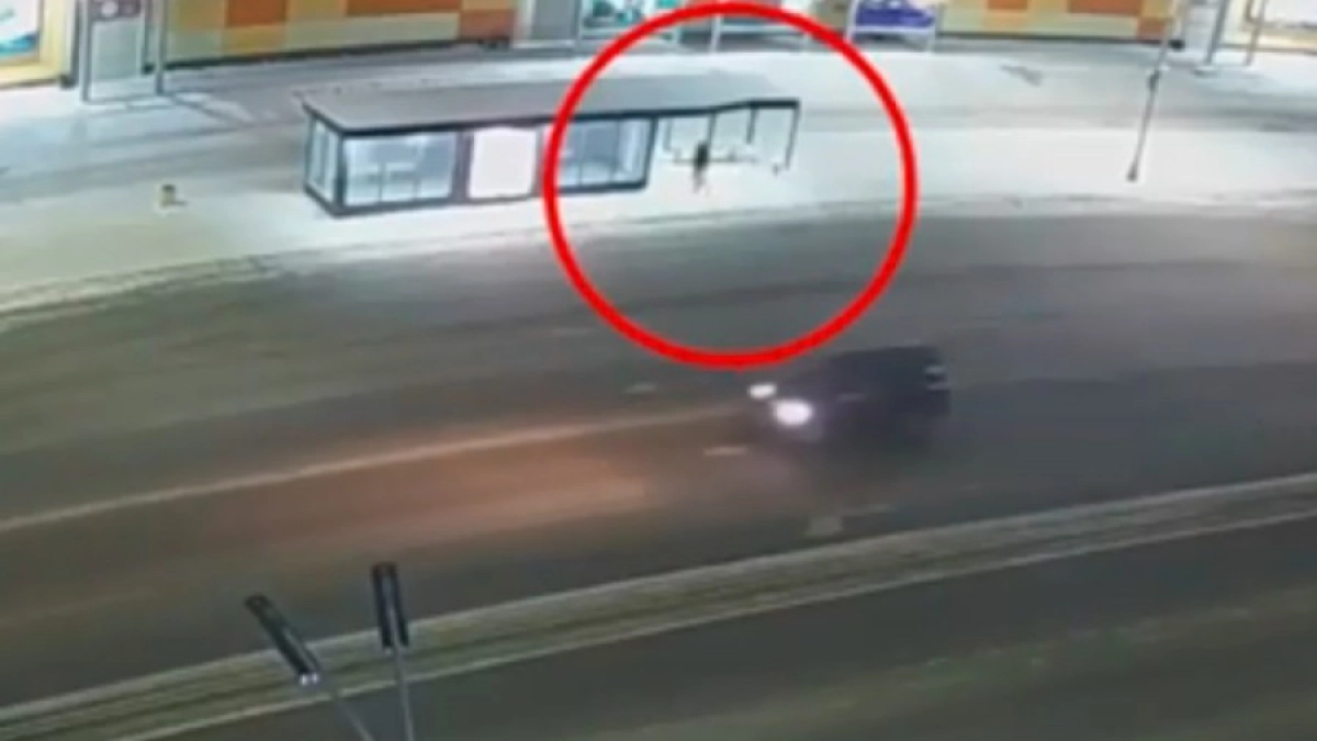 Фото: скриншот видео с камеры наблюдения