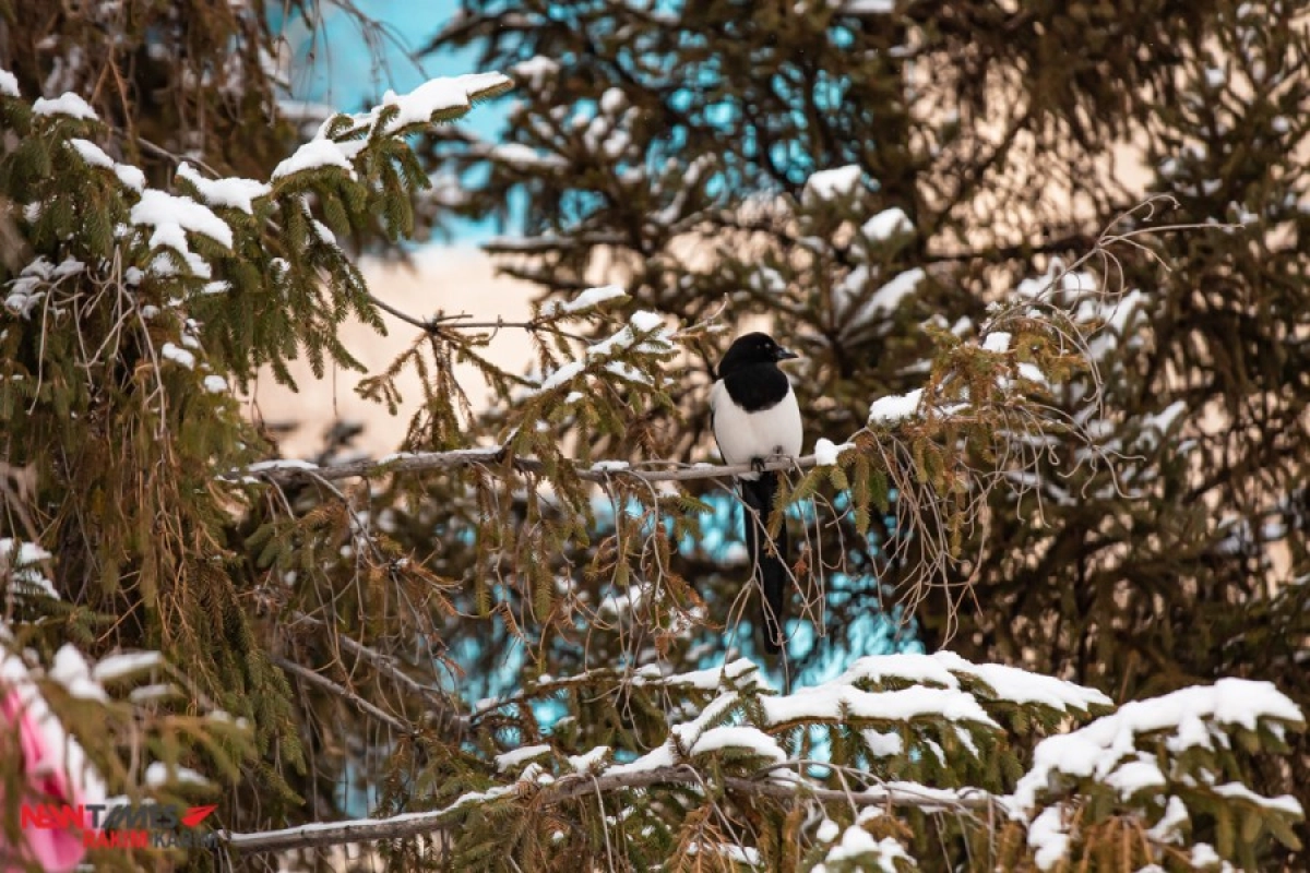 Фото: ИА «NewTimes.kz»