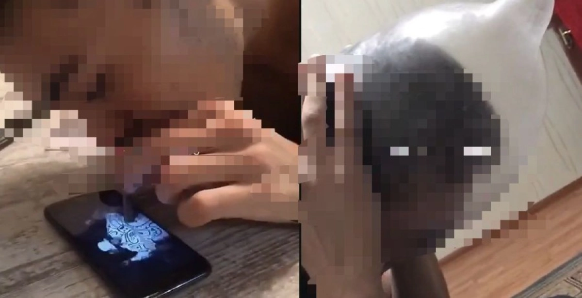 Коллаж: ИА «NewTimes.kz»