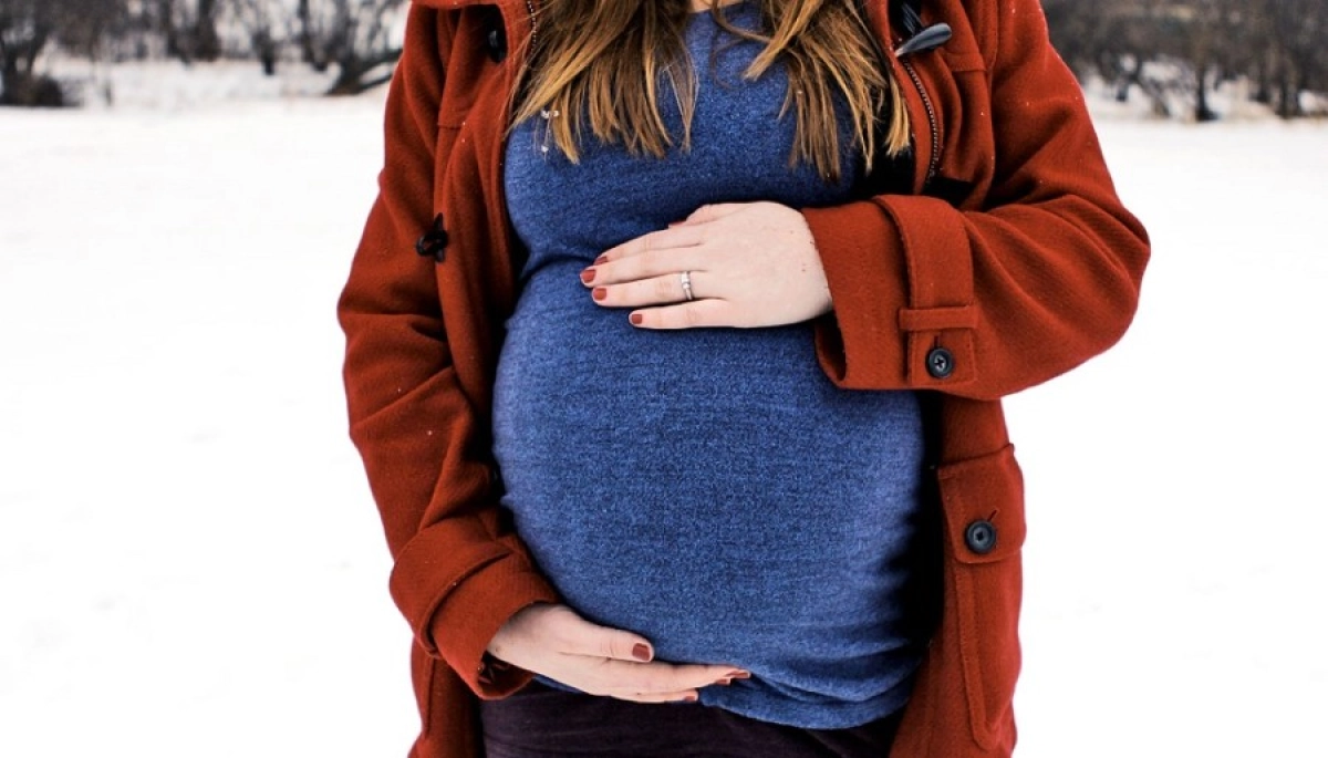 Фото: pixabay.com