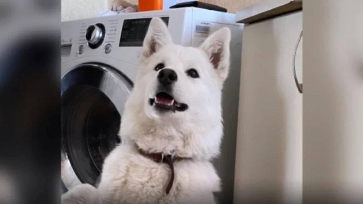 Фото: instagram/ti.pavlo