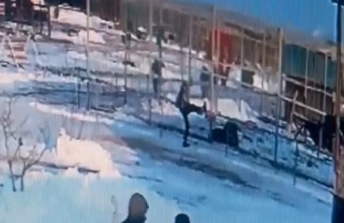 Кадр из видео