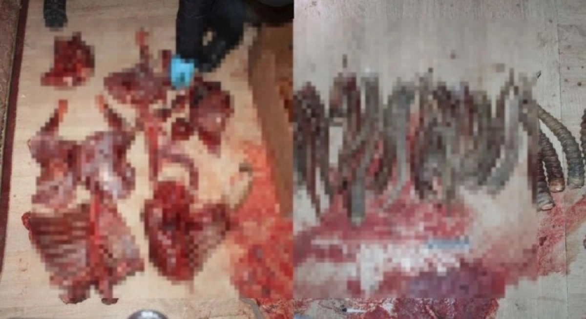 Фото: Polisia.kz