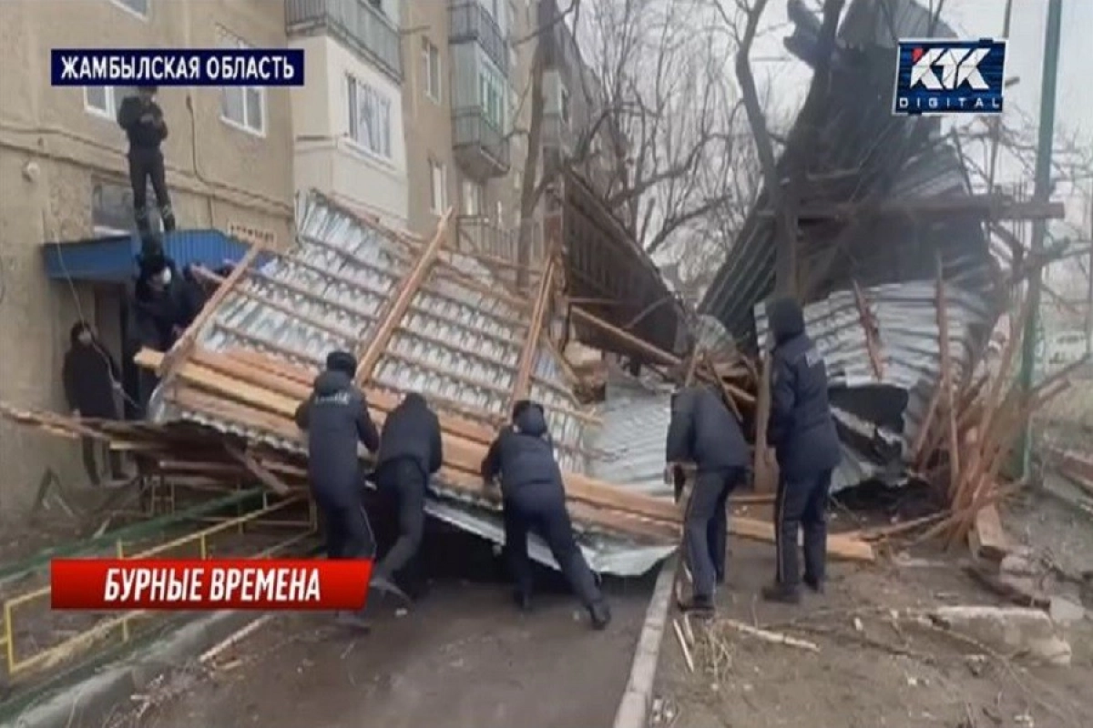 Фото: скриншот видео телеканала КТК