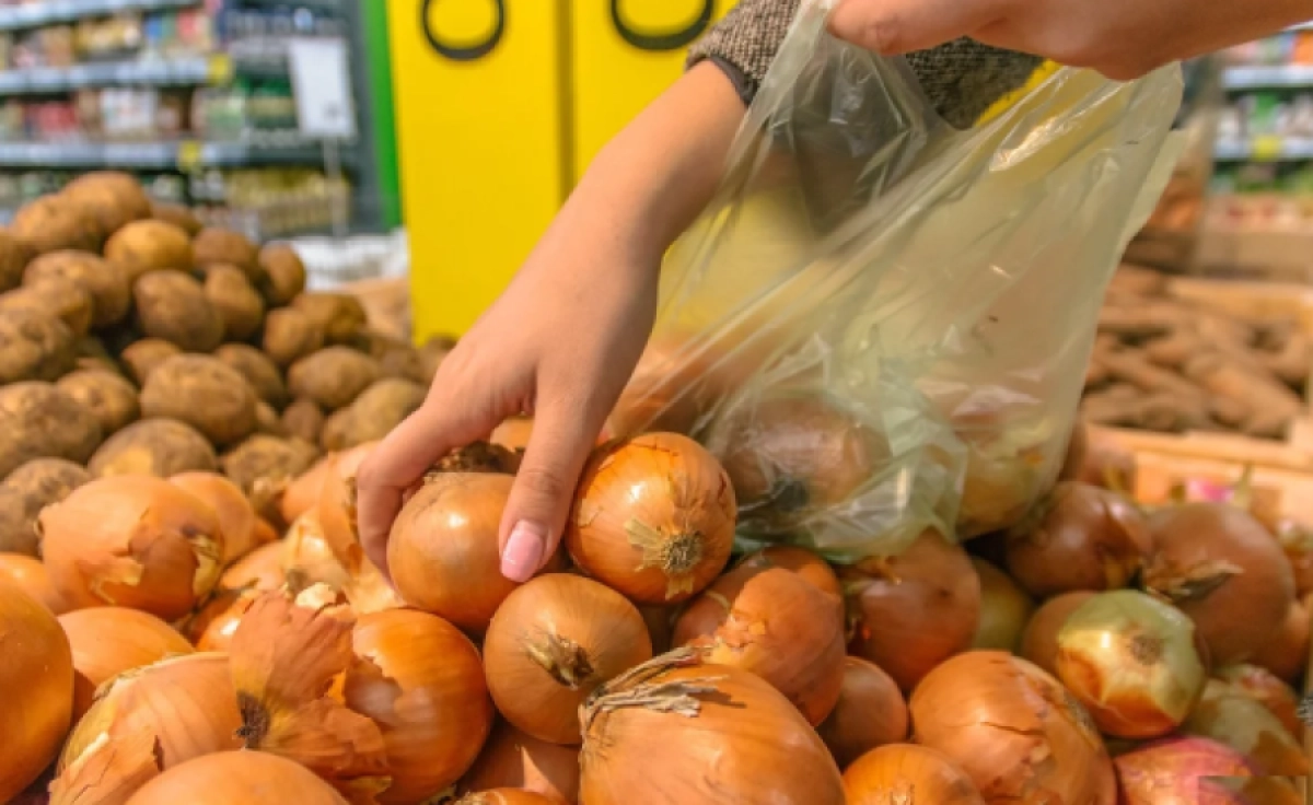 Фото: 63.fair.ru