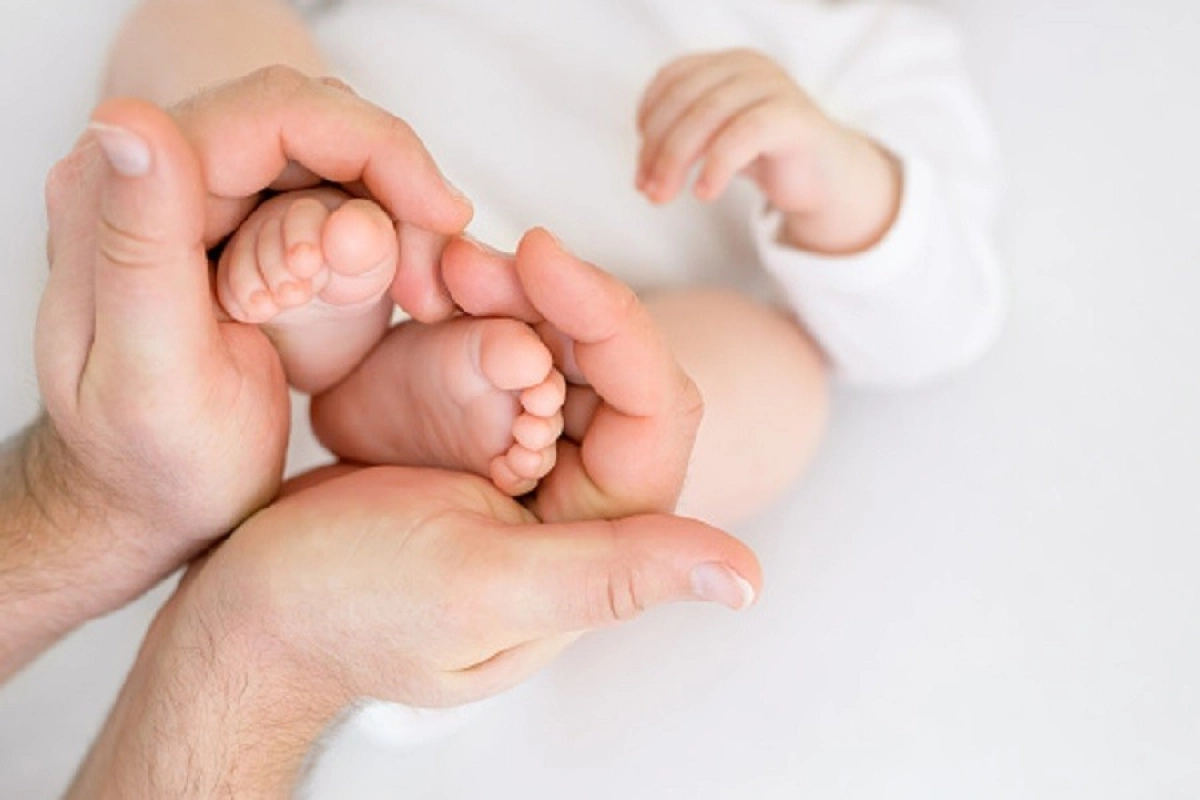 Фото: pixabay.com