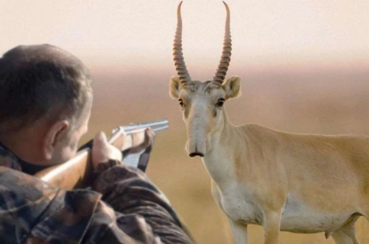 Фото: uralskweek.kz