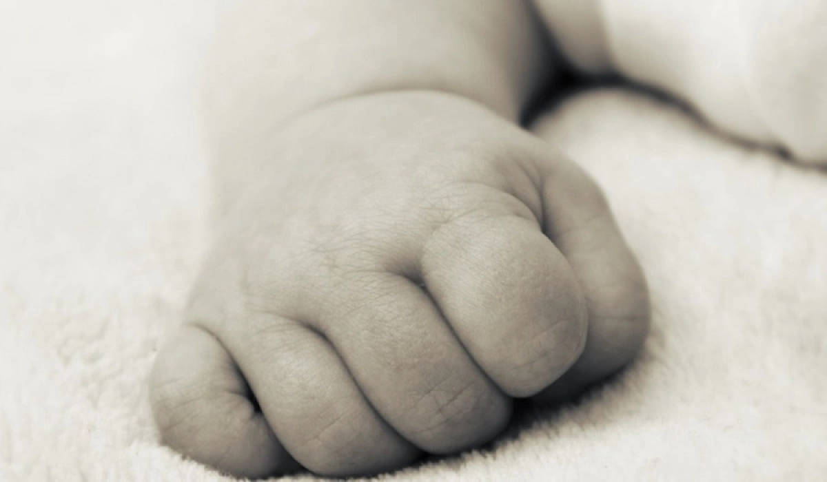 Фото: pixabay.com