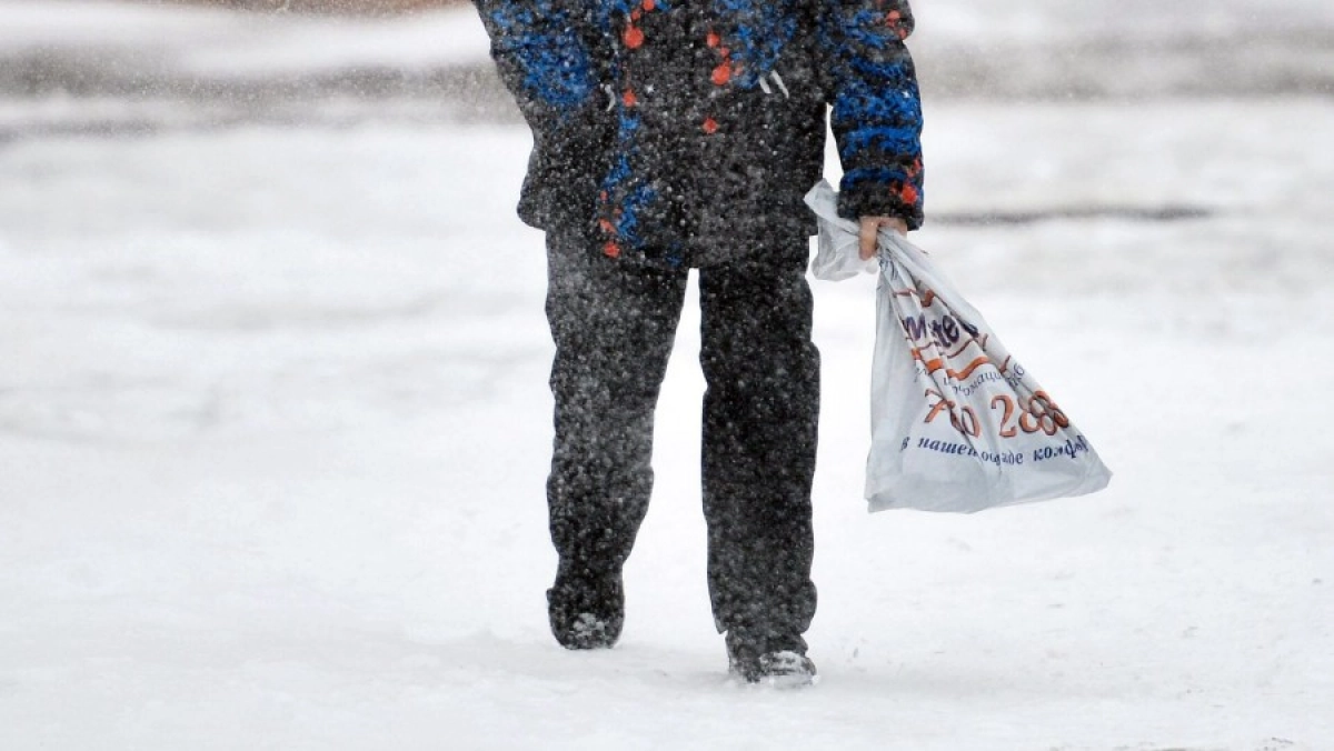 Фото: Sputnik Кыргызстан