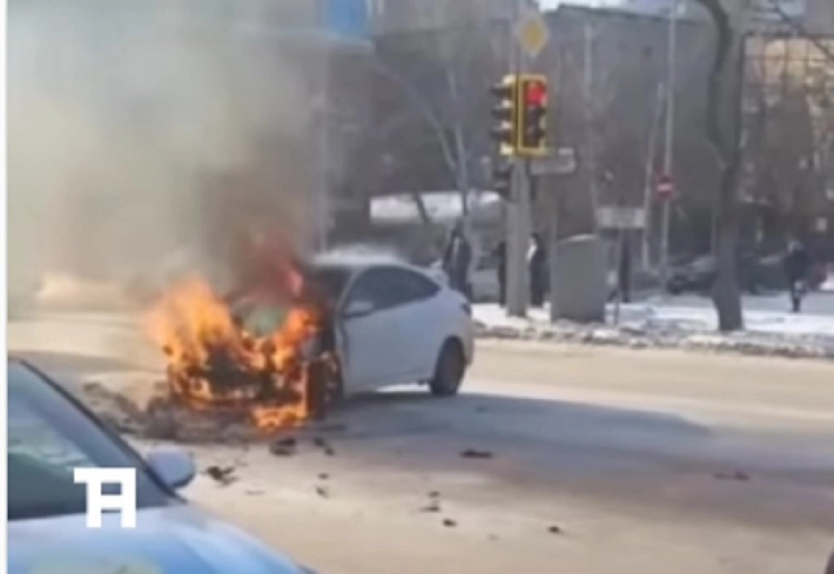 Фото: Скриншот из видео