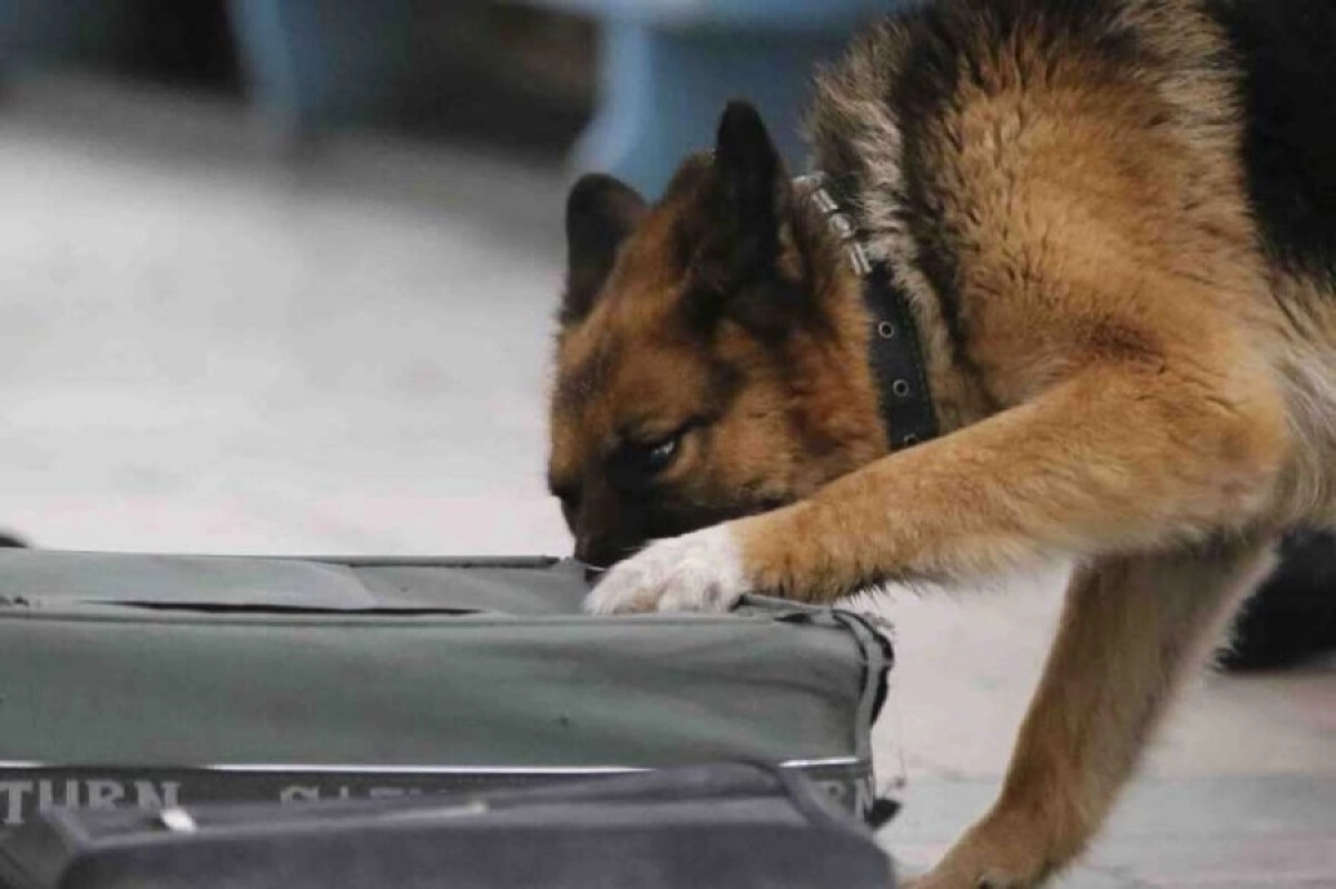 Фото: riatomsk.ru