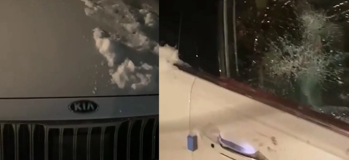 Фото: Скриншот видео