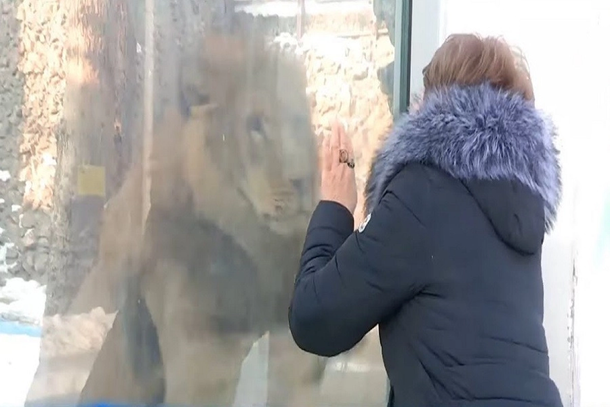 Фото: скриншот видео