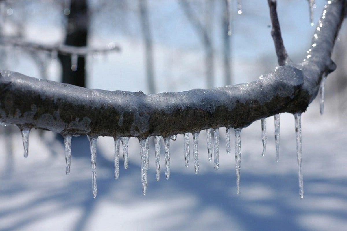 Фото: pixabay.com