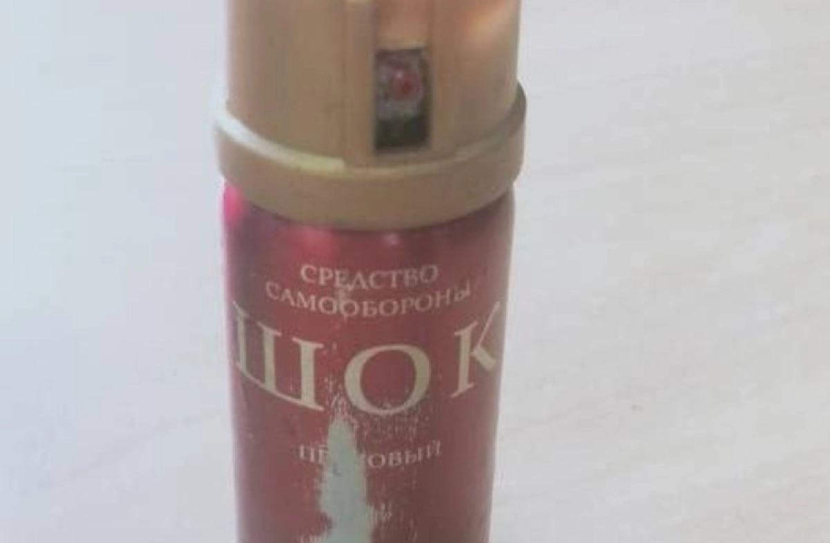 Фото: ПС МВД