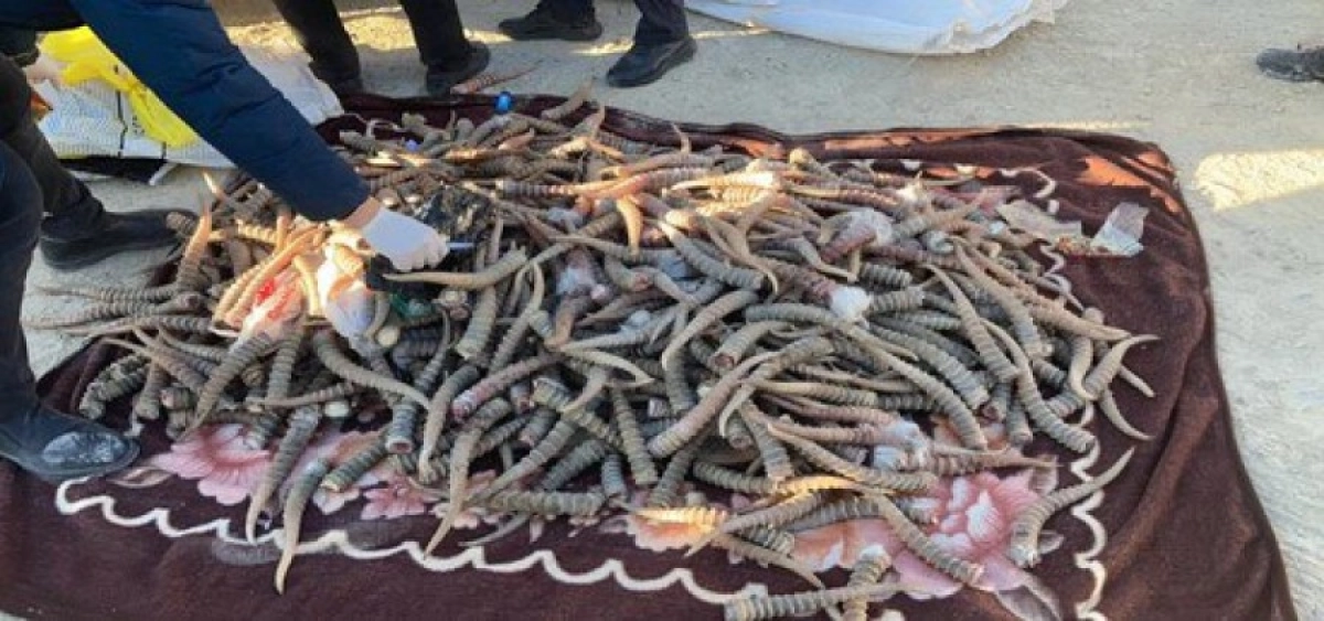 Фото: КНБ РК