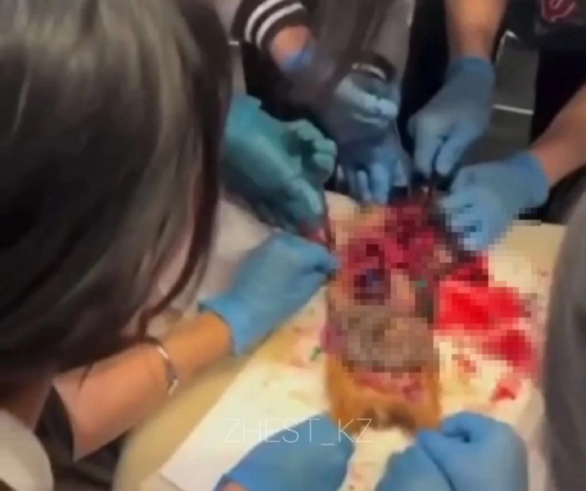 Кадр из видео