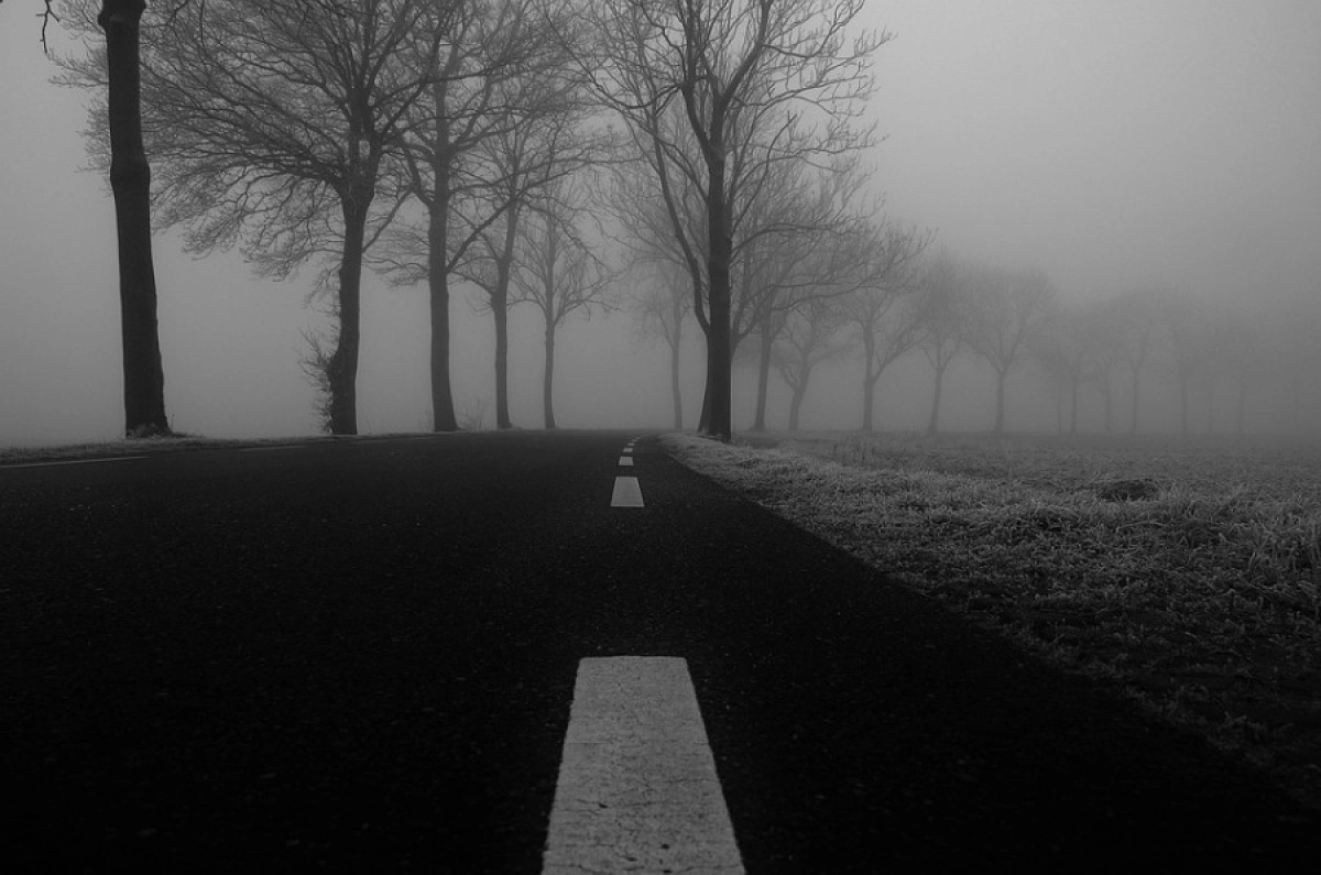 Фото: pixabay.com