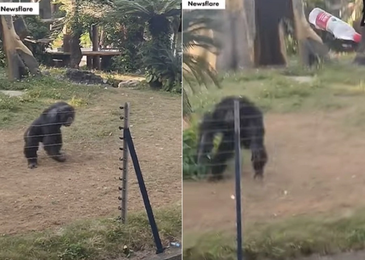 Кадр из видео