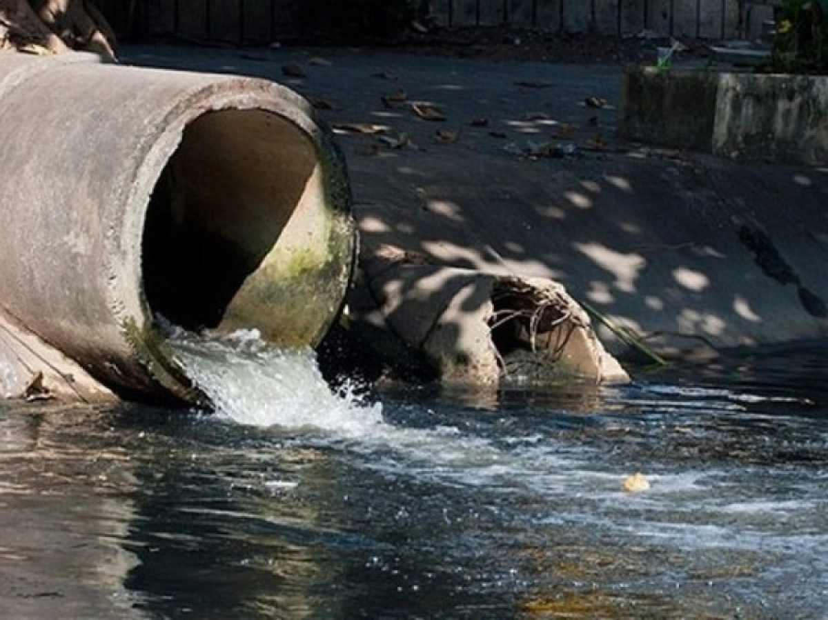 Фото с сайта yar.mk.ru