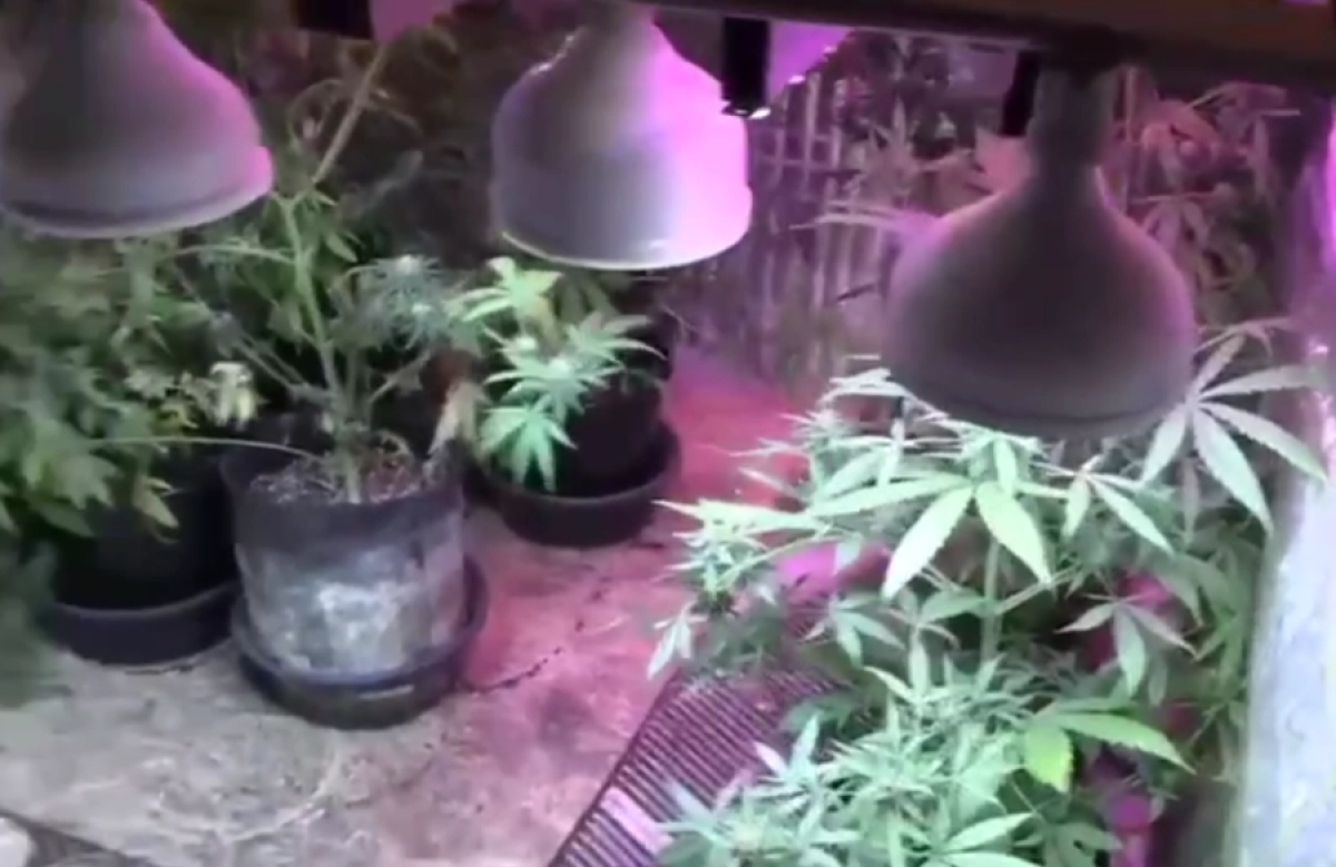 Кадр из видео