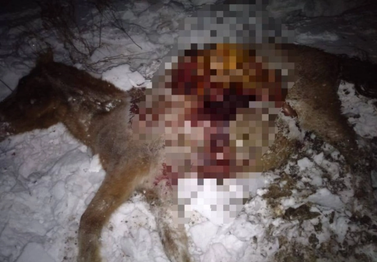 Фото: polisia.kz