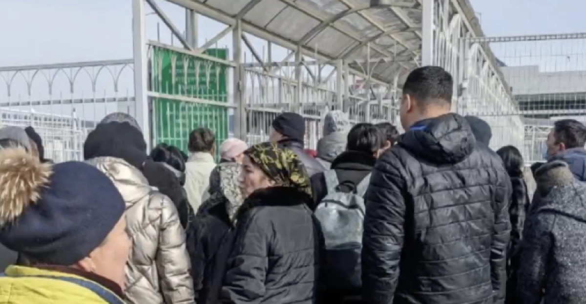 Фото: @korochekg/Сергей 111