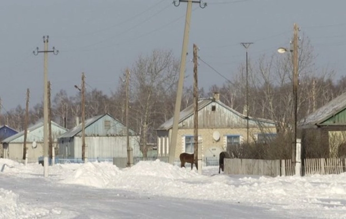Фото: kazakh-zerno.net