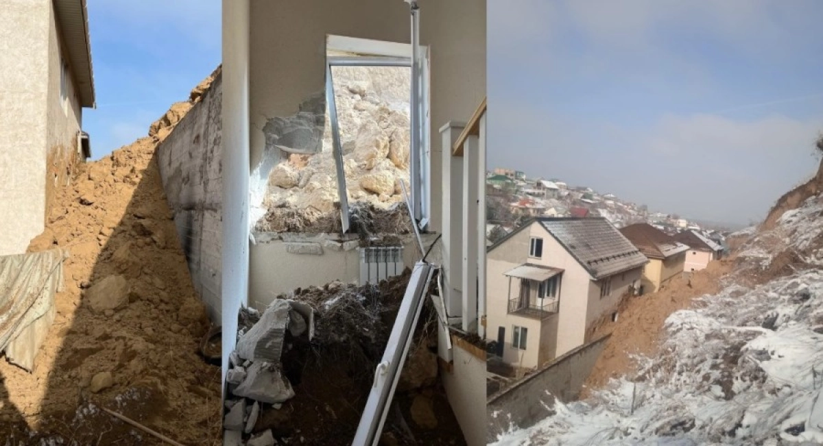 Фото: Коллаж NT