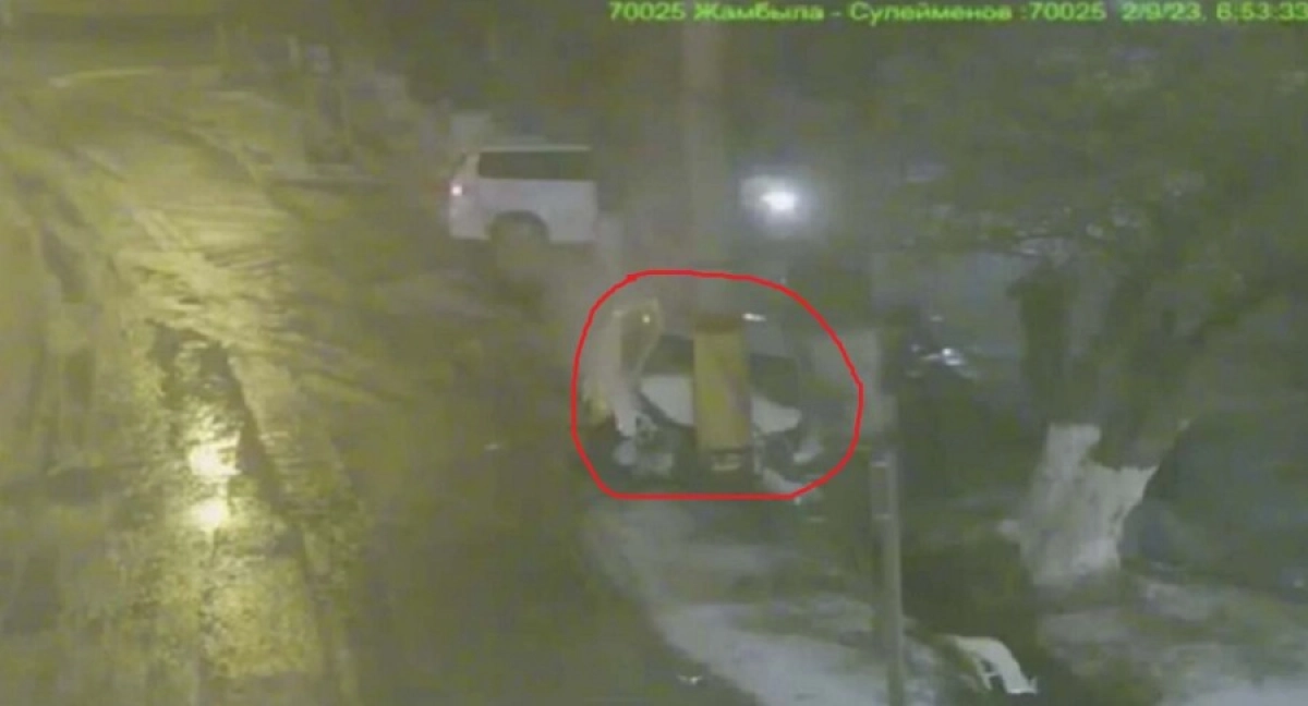 Фото: polisia.kz