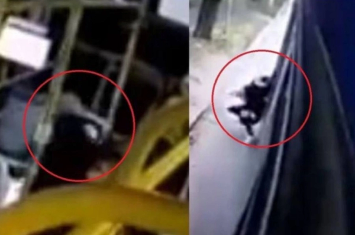 Фото: polisia.kz