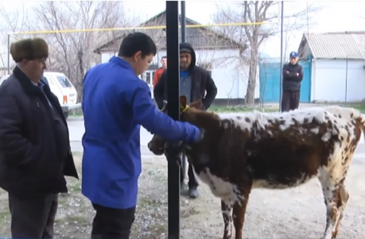 Кадр из видео