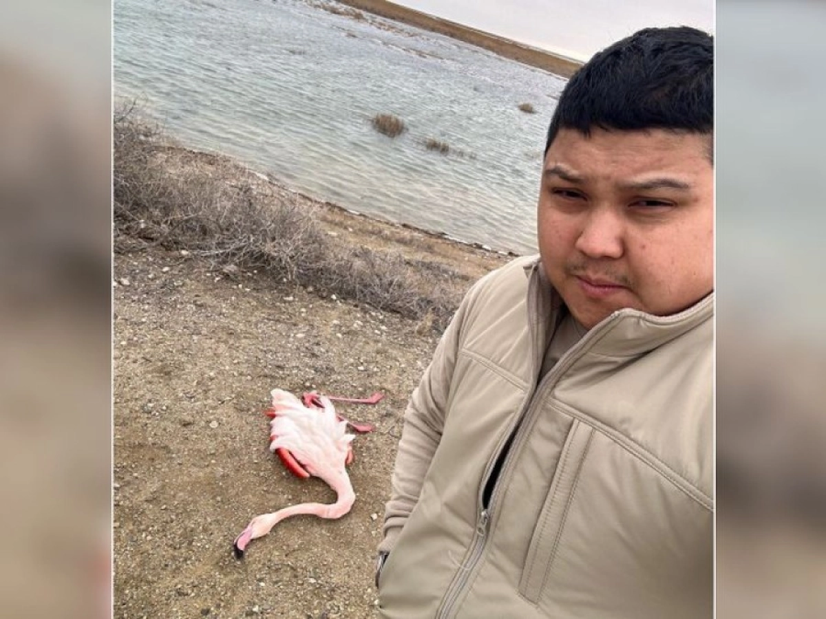 ©instagram.com/azamat_sarsenbayev/