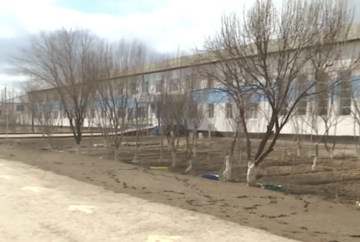 Кадр из видео