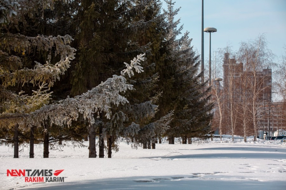 Фото: ИА «NewTimes.kz»