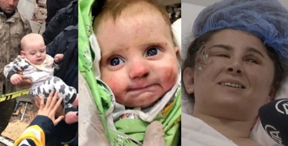 Фото: Коллаж NT