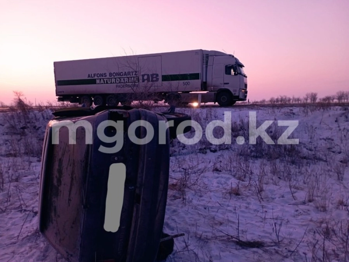 Фото: Мой город