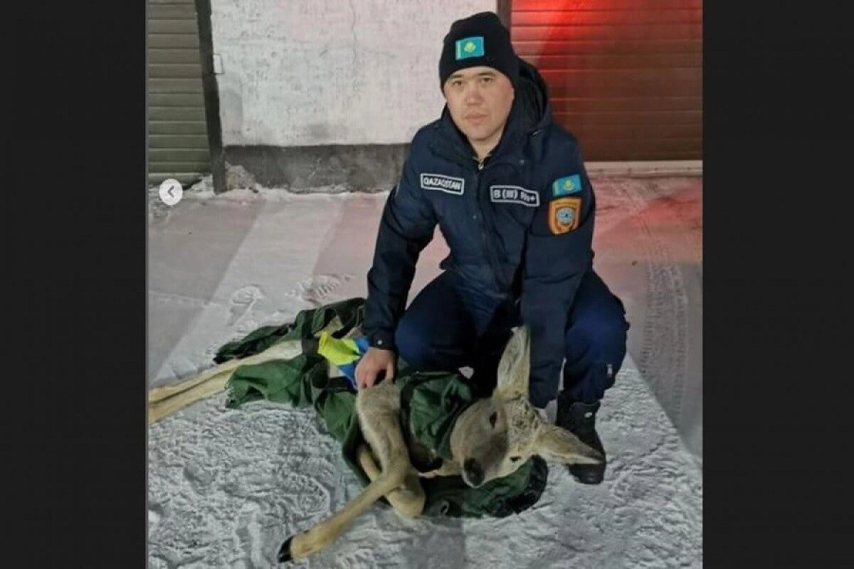 Фото: ДЧС СКО