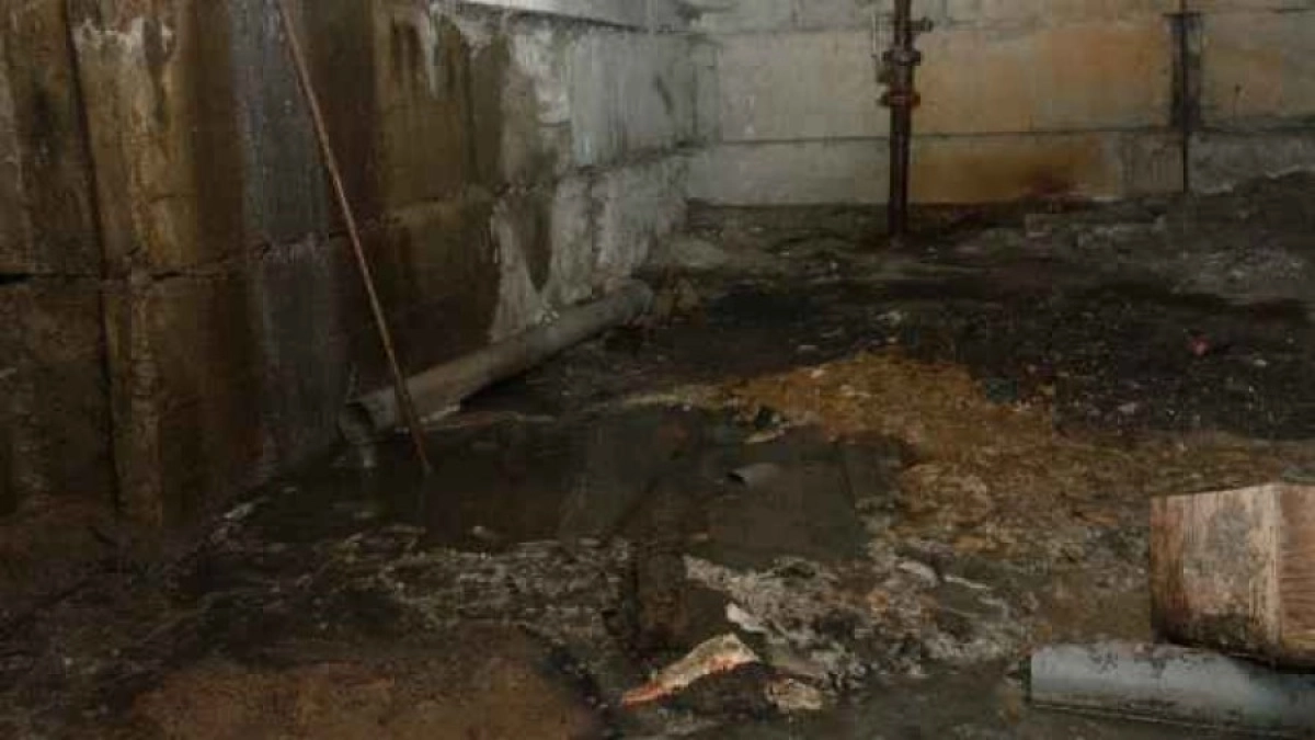 Фото:  kstnews.kz