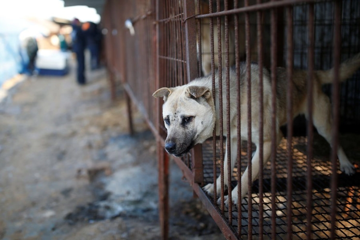 Фото: Kim Hong-Ji/Reuters