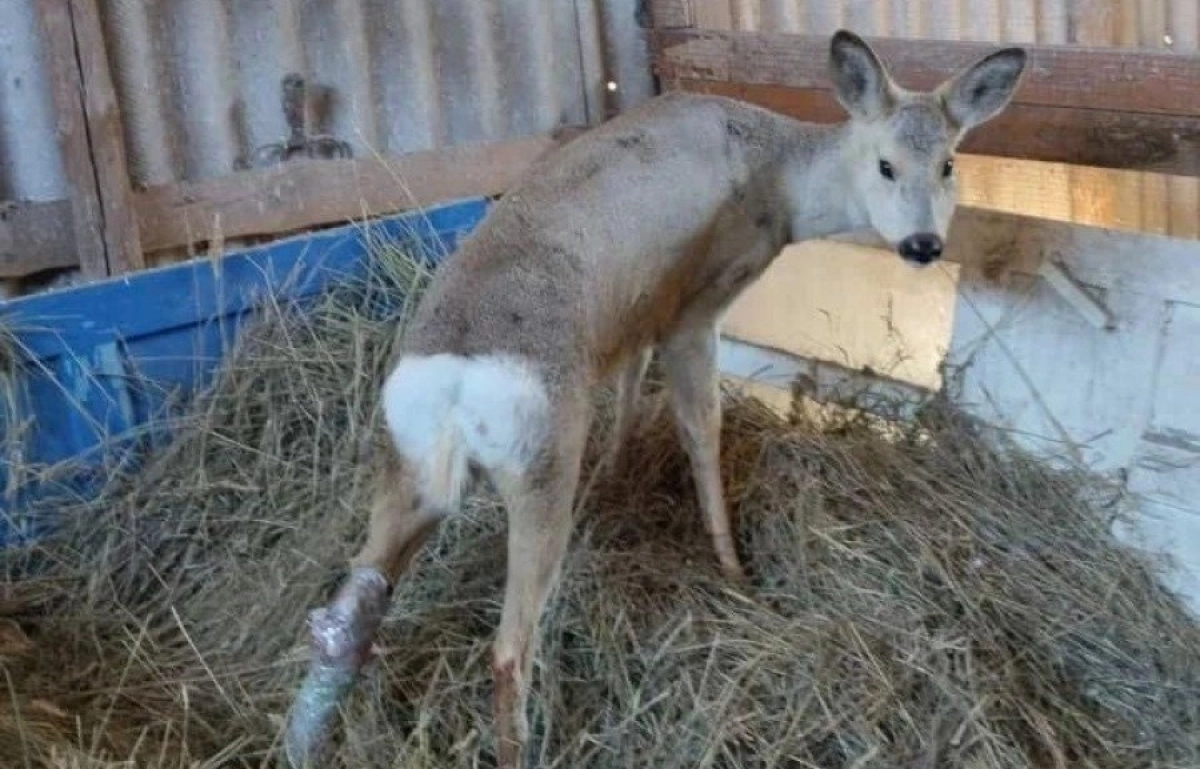 Фото: Polisia.kz