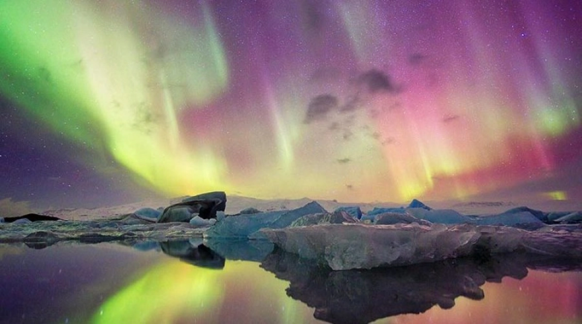 Фото: Getty Images /Gallo Images/ Danita Delimont