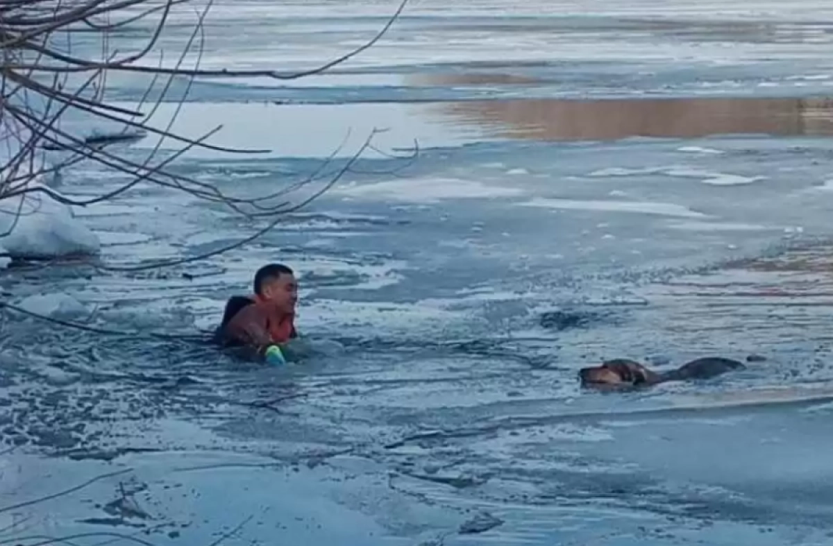 Фото пресс-службы департамента по ЧС СКО