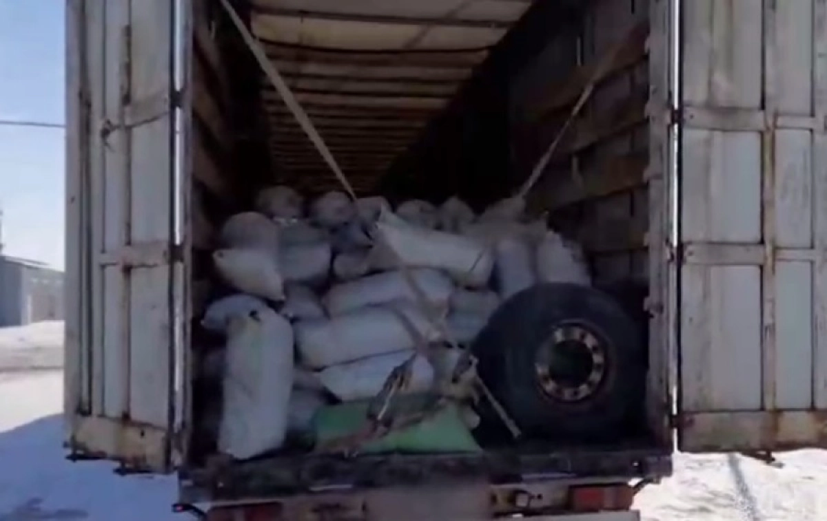 Фото: Кадр видео