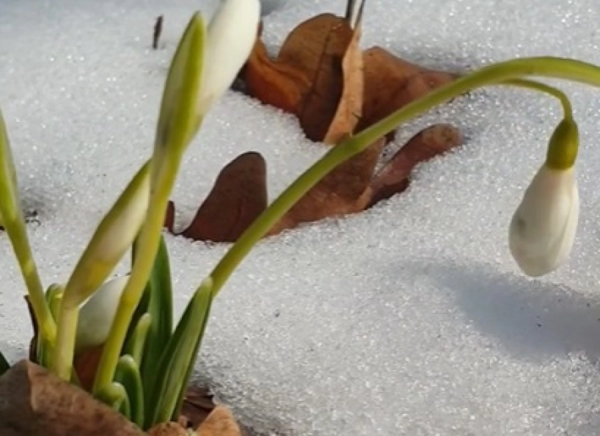 Фото: Кадр видео