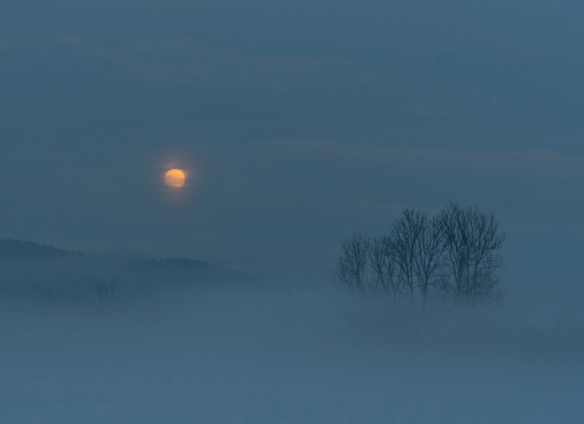 Фото: unsplash.com